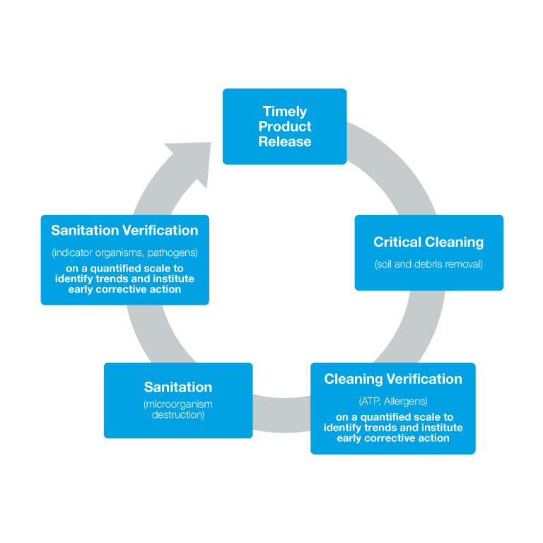 Timely product release depends on a rigid HACCP plan including critical cleaning, cleaning verification and sanitation verification steps