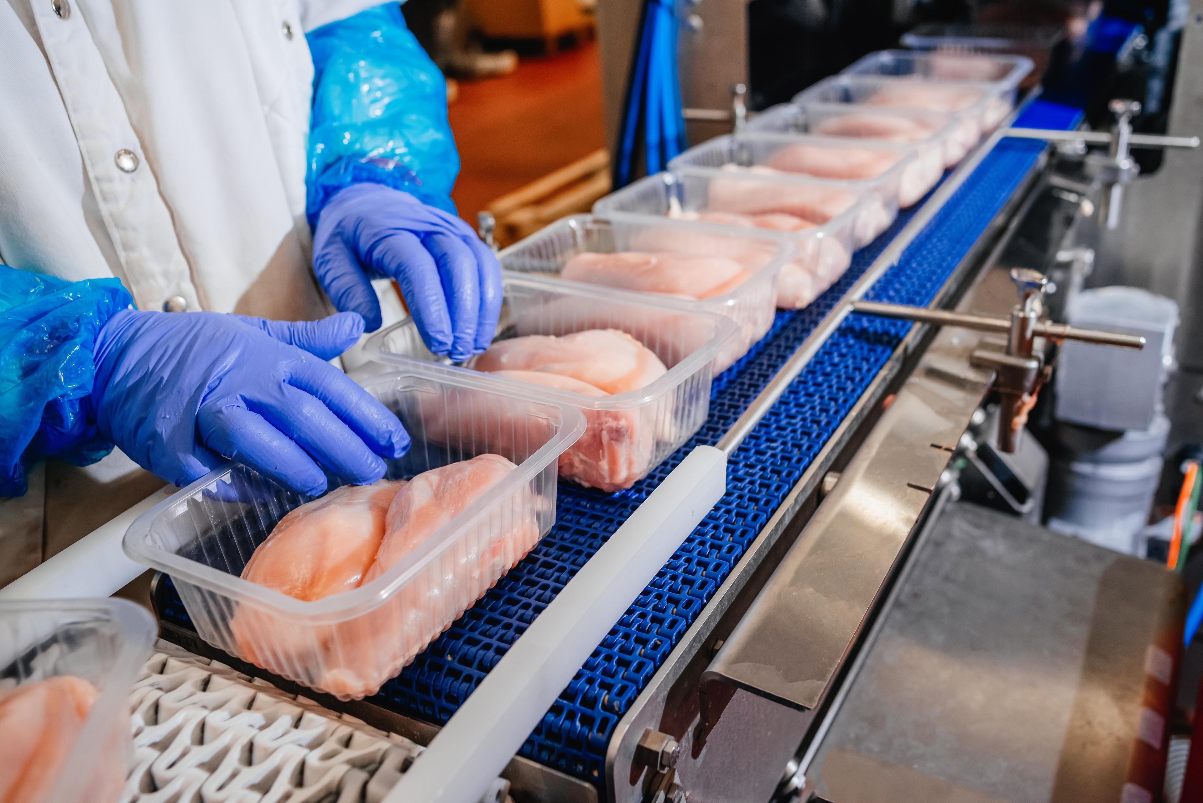 Chicken on an assembly line