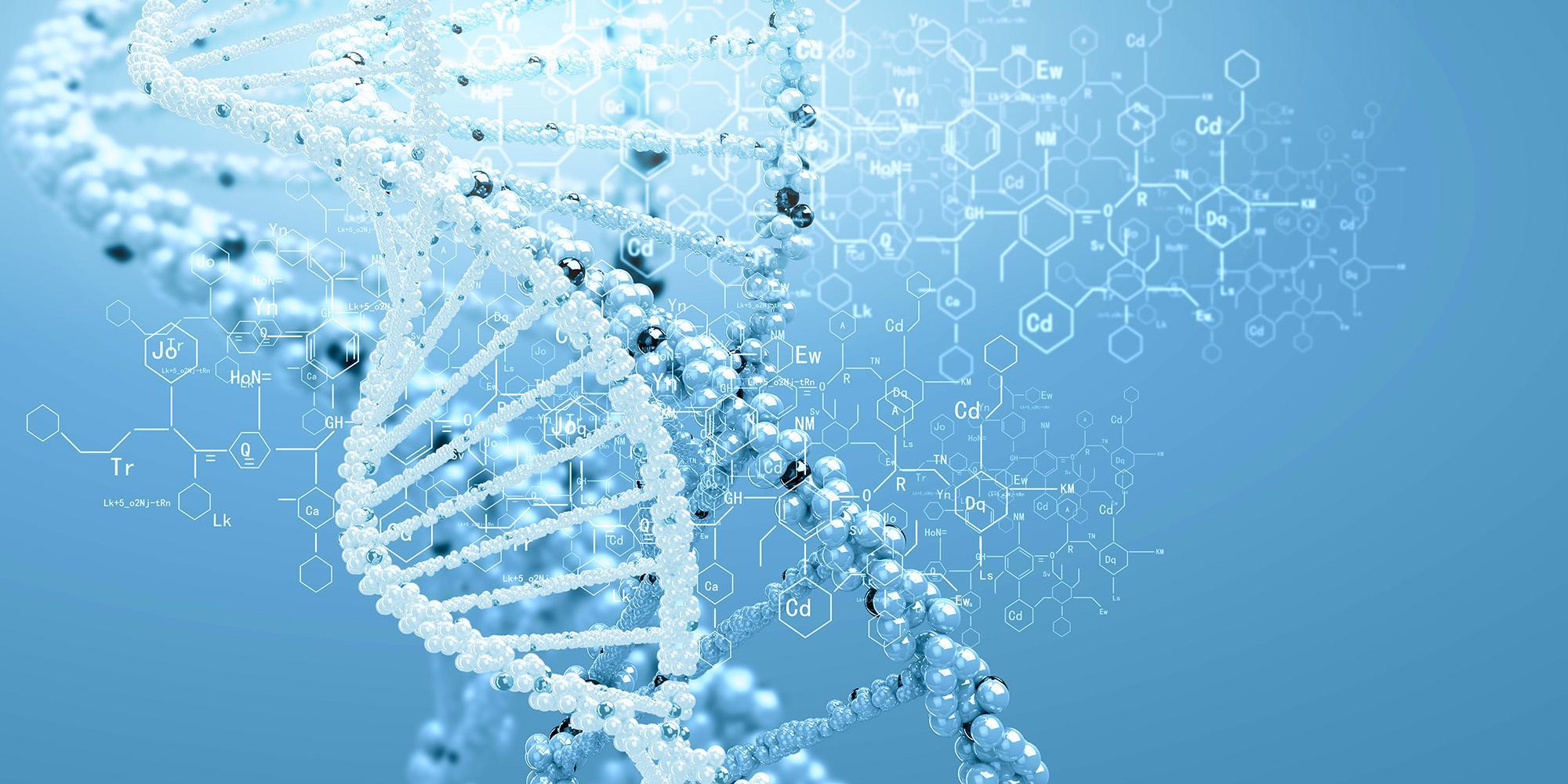 DNA molecule