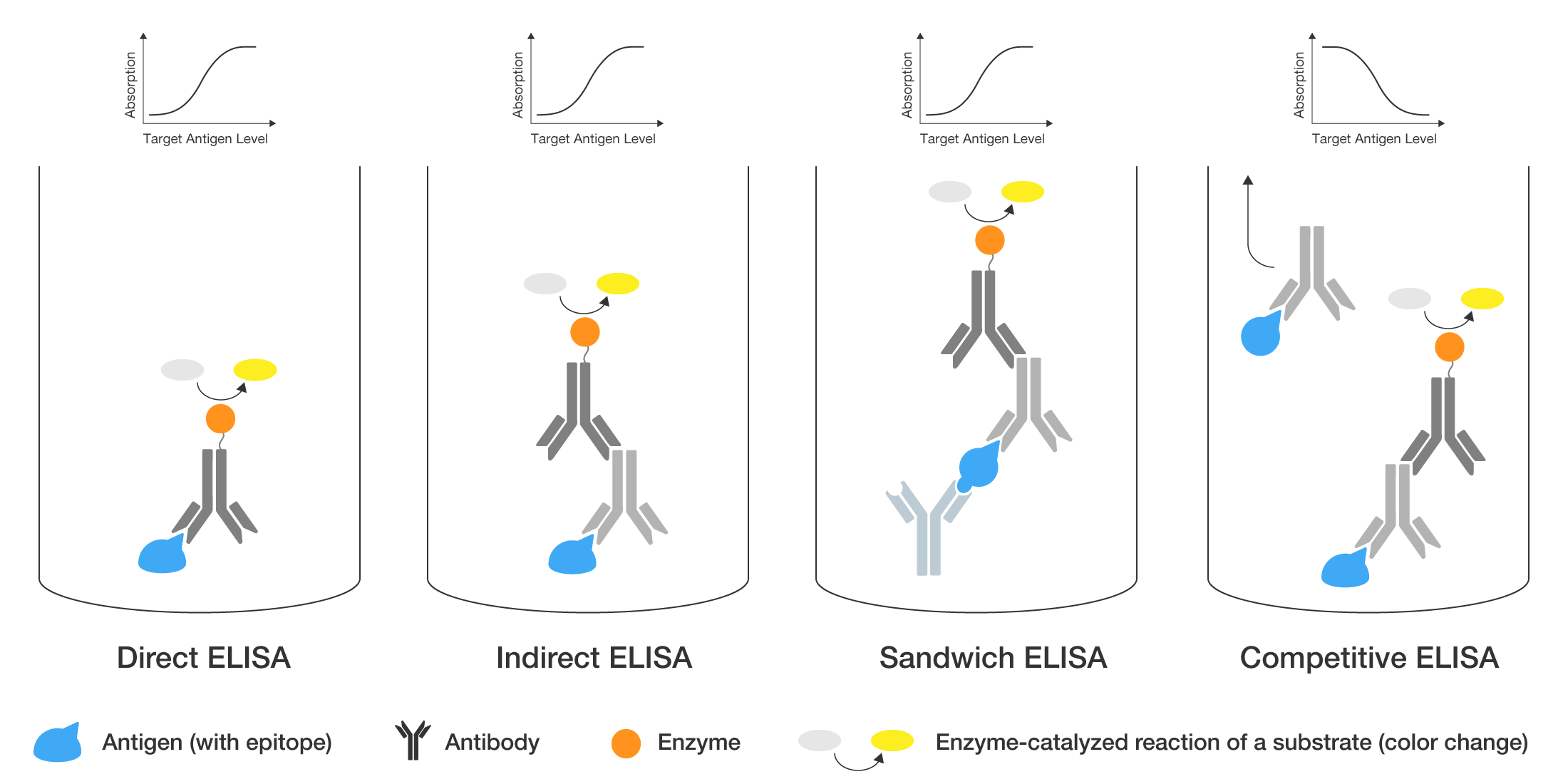 Types of ELISA